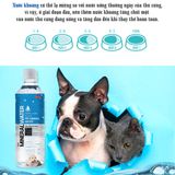  Nước khoáng Bowwow | Bổ sung đạm và canxi | Giúp thú cưng hấp thu chất dinh dưỡng tốt hơn | Dùng được cho chó và mèo 