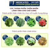  Dầu gội trị ve, gàu, nấm Budle'Budle | 100% thiên nhiên | Không hoá chất gây hại | An toàn cho thú cưng 