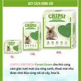  Lót chuồng giấy cho thú nhỏ Carefresh Confetti | Siêu thấm hút | Không bụi | Mềm mịn | Phân huỷ sinh học | Nhiều màu sắc 