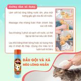  Dầu gội và xả cho mèo Lee&Webster | 100% thiên nhiên | Da sạch khoẻ | Lông bóng mượt | Giảm rụng, xơ rối 