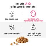  Thịt viên nướng đút lò Bowwow | Grain-free | Cải thiện thể lực | Tăng cường miễn dịch | Chăm sóc mắt, da lông 