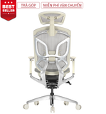  Ghế Công Thái Học Ergonomic GTchair Dvary Butterfly Đen - Xám - Hồng (Tặng Phụ Kiện Mắc Áo) 