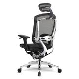  [SOLD - Hàng trưng bày thanh lý] Ghế Ergonomic Công Thái Học Marrit X 3D màu Đen 