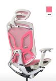  Ghế Ergonomic Công Thái Học Butterfly Hồng (Tặng Phụ kiện Mắc áo) 