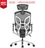  Ghế Công Thái Học Ergonomic GTchair Dvary Butterfly Đen - Xám - Hồng (Tặng Phụ Kiện Mắc Áo) 