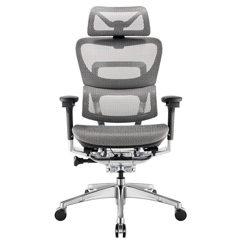  Ghế Công Thái Học Ergonomic Fly Pro Xám 