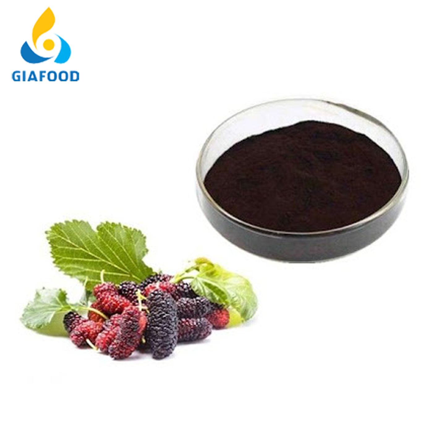  MULBERRY EXTRACT 
