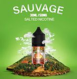  Peach ( Đào Lạnh ) By Sauvage Salt Nic 30ML 