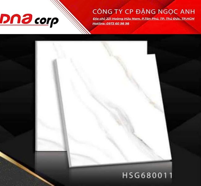 60*60 HSG680011 Gạch đá bán sứ BK Vicenza