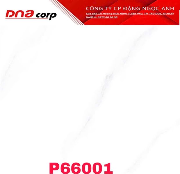 60*60 P66001 Gách lát nền đá bk (1.44m/4v/th)