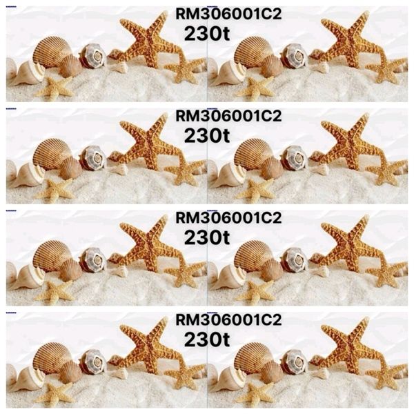 điểm 30x60 RM306001c2 shija