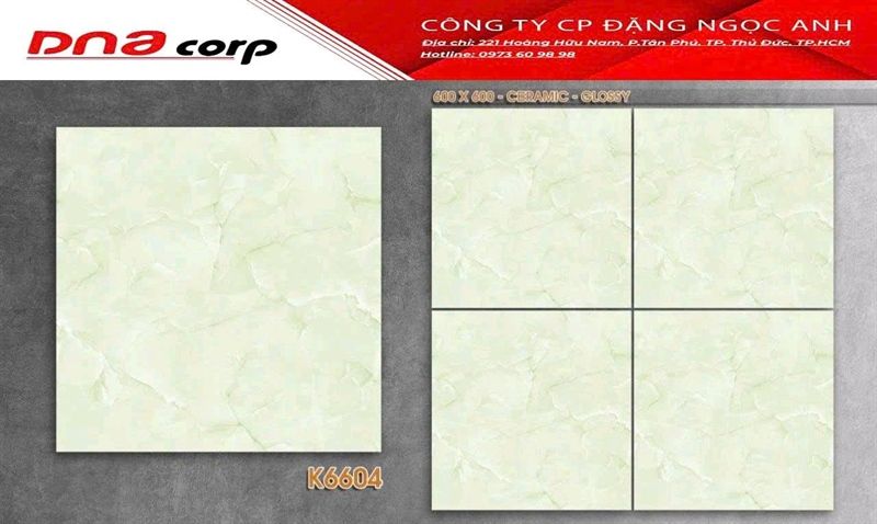 gach men bóng kiến hãng pak 60x60 k6604 thùng 4v/1.44met