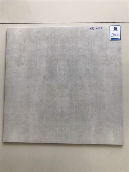 60*60 ATP1.605 Gạch lát nền bán sứ mờ Viglacera ( T=4V=1.44M )