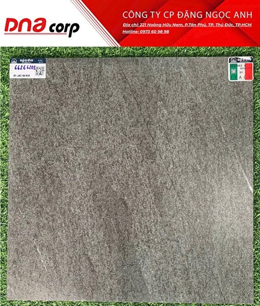 60x60 66201 gạch lát nền ốp tường Apodio (T4v/1.44m²)