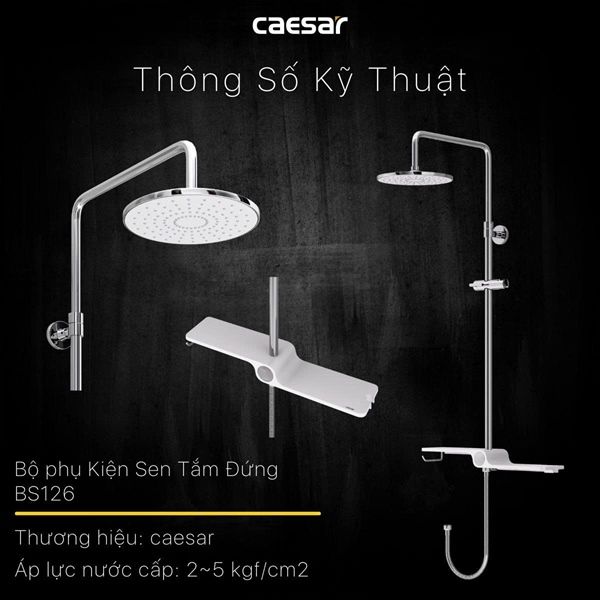 bs126 cây sen không củ