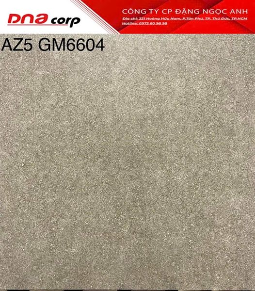 60*60 AZ5 GM6604 Gạch lát nền đá mờ (T=4V=1.44M)