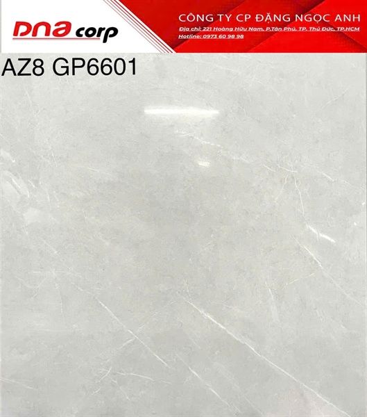 60*60 AZ8 GP6601 Gạch lát nền BK (T=4V=1.44M)