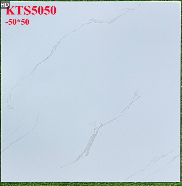 Gạch 50*50 KTS5050
