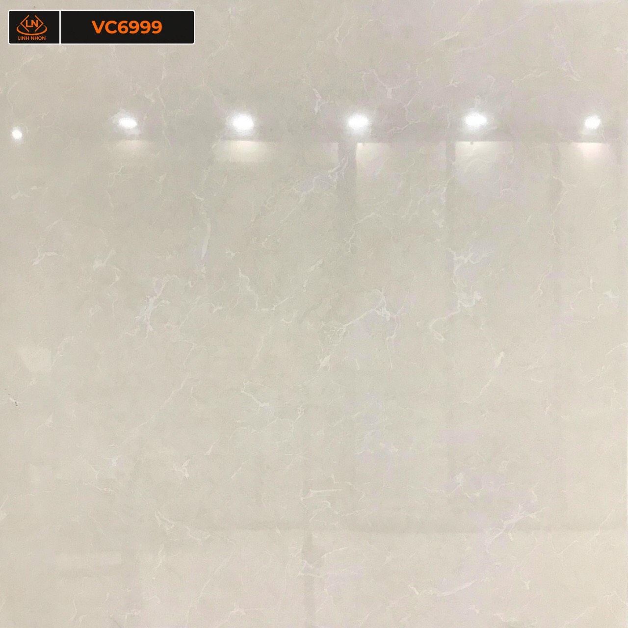 Gạch VC6999