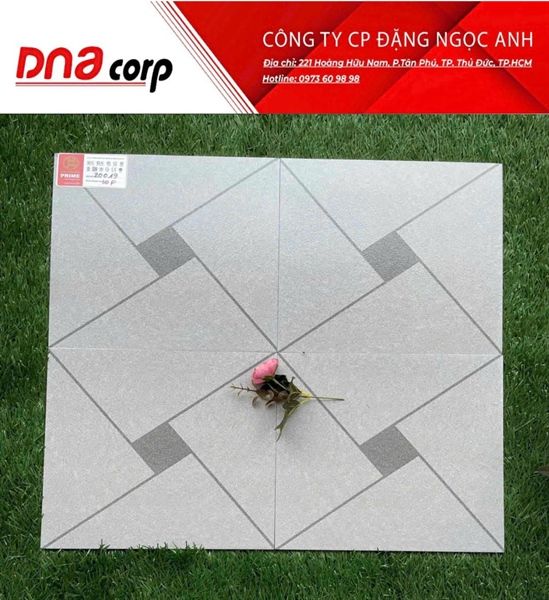 đá 30*30 20019 Gạch lát nền Prỉme