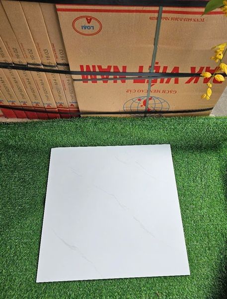 men bóng 60x60pak 6201dna th5v/1.8m loại 1