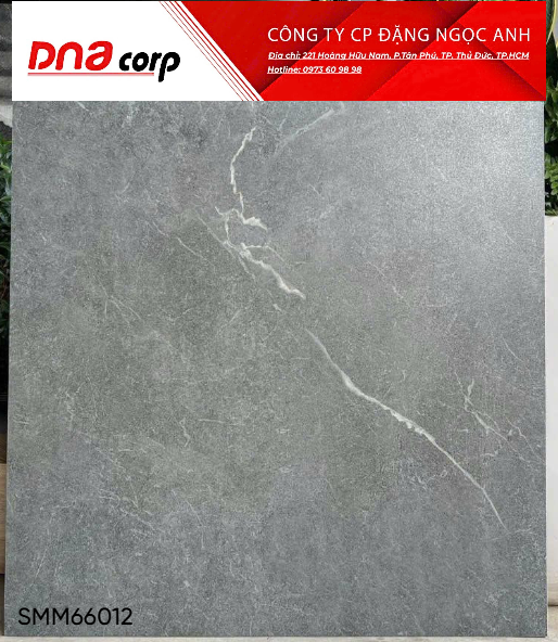 60x60 SMM66012 gạch lát nền, Vân đá tự nhiên, Marble, Men matt mịn ( T4v=1.44m)