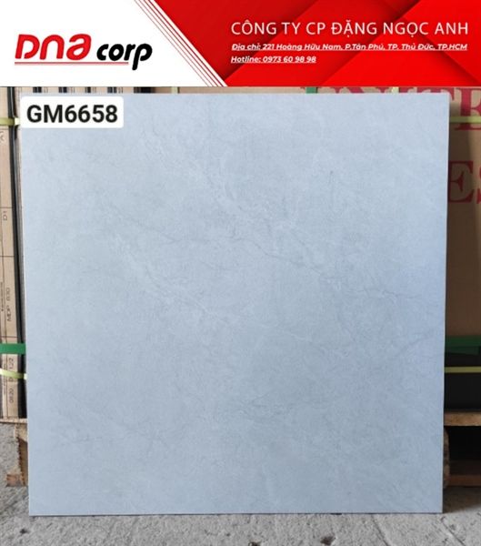 60*60 GM6658 Gạch đá lát nền (1.44m/4v/th)