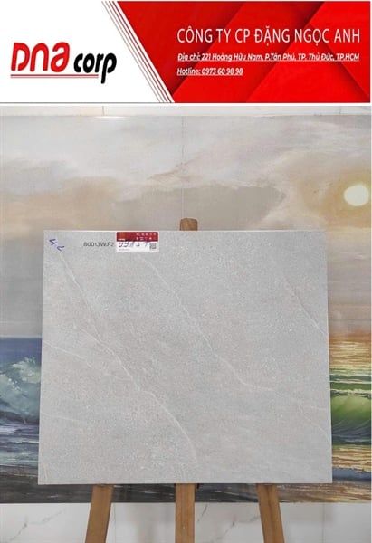 60*60 09157 Gạch đá mờ lát nền Prime