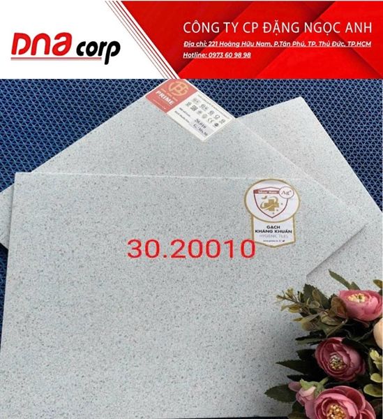 đá 30*30 20010 gạch lát nền Prime