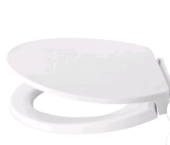 Nắp Cầu Viglacera V68