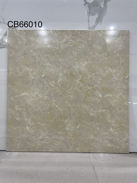 60*60 CB66010 Gạch lát nền đá BK (1.44M/4V/TH)