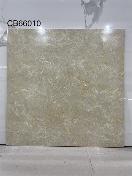 60*60 CB66010 Gạch lát nền đá BK (1.44M/4V/TH)