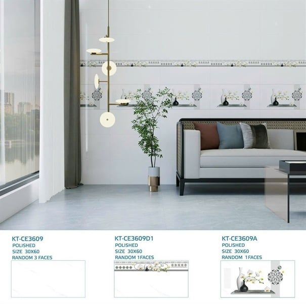 ốp men bóng30*60 bộ ce3609 atp viglacera điểm