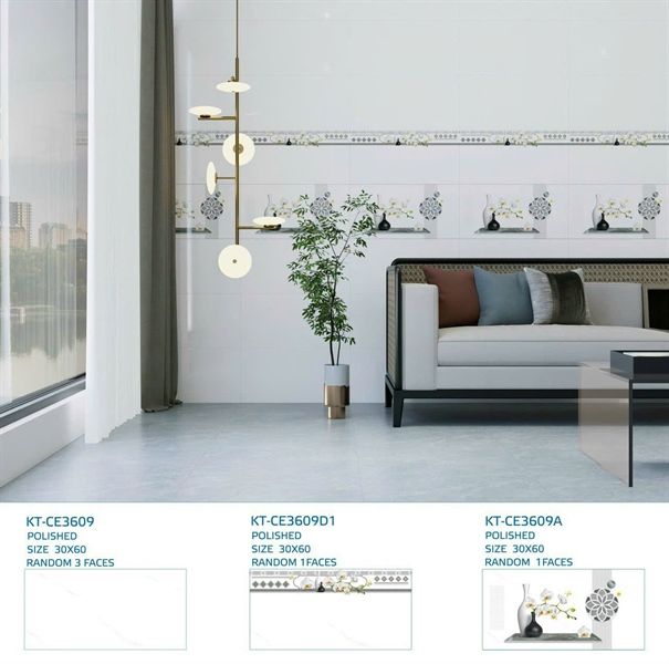 ốp men bóng30*60 bộ ce3609 atp viglacera điểm