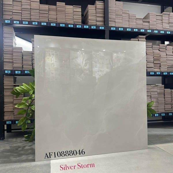 AF10888046gạch ốp lát Apodio TH3V/1.92M