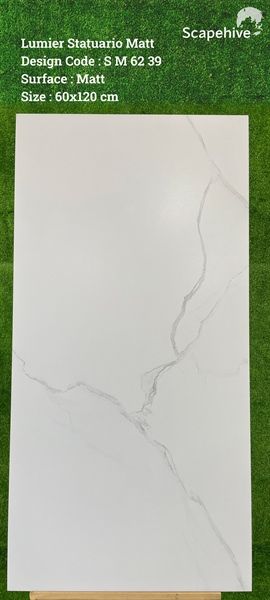gạch đá bóng kính 60*120 SG6239 Ấn Độ th2v/1.44m