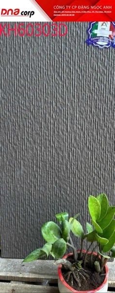 30*60 KH60303D Gạch lát nền đá mờ ( T=8V=1.44M )