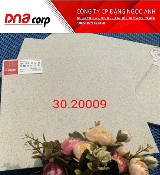 30*30 20009 gạch lát nền Prime