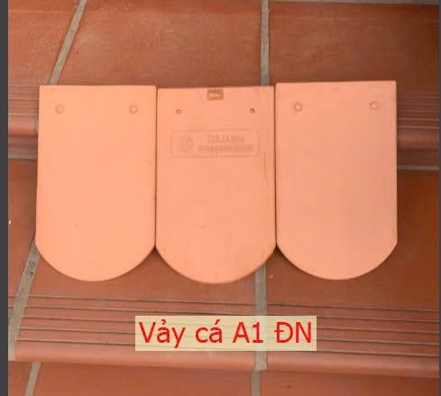 vảy cá 65 đồng nai a1