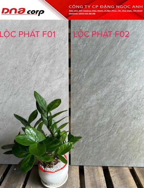 30*60 Lộc Phát F01 Gạch lát nền đá mờ ( T=8V=1.44M )