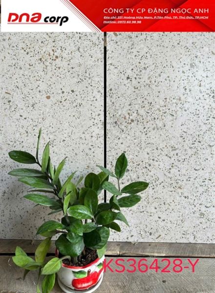30*60 KS36428-Y Gạch lát nền đá mờ ( T=8V=1.44M )