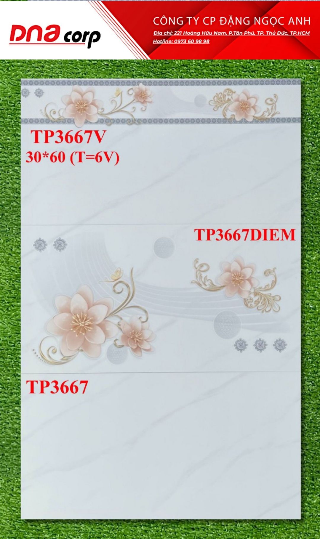 Gạch ốp tường 30*60 Ceradoni TP3667V-TP3667DIEM-TP3667