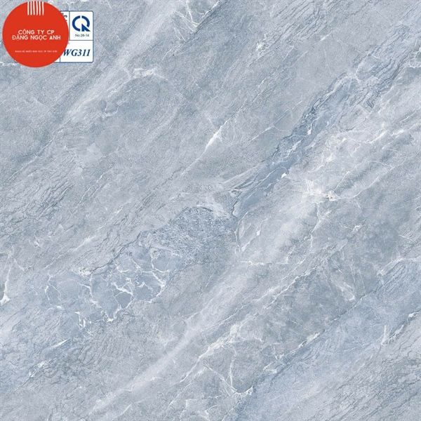 30*30 WG311 Gạch lát nền Vicera l1