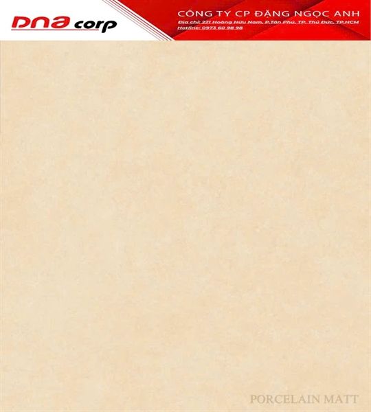 60*60 P66011 Gách lát nền đá mờ (1.44m/4v/th)