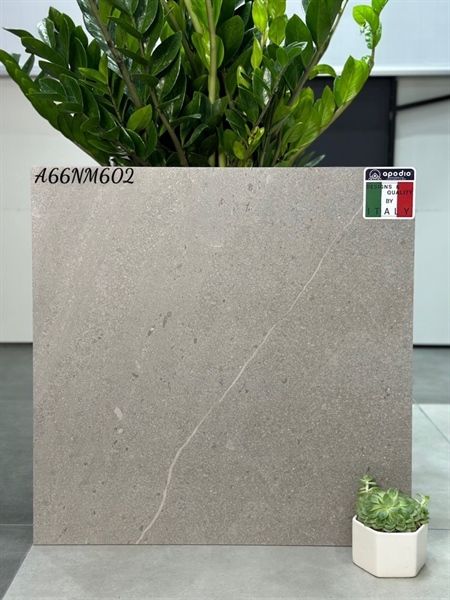 60*60 A66MN602 Gạch lát nền đá mờ Apodio (1.44m/4v/th)