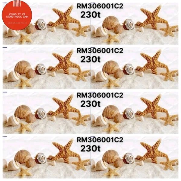 điểm 30x60 RM306001c2 shija