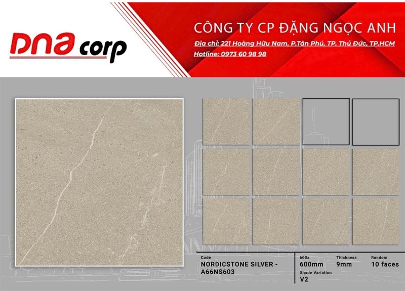 60x60 NS603 gạch lát nền ốp tường Apodio (T4v/1.44m²)