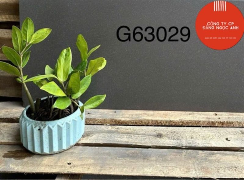 30*60 G63029 Gạch lát nền đá mờ Taicera ( T=8V=1.44M )