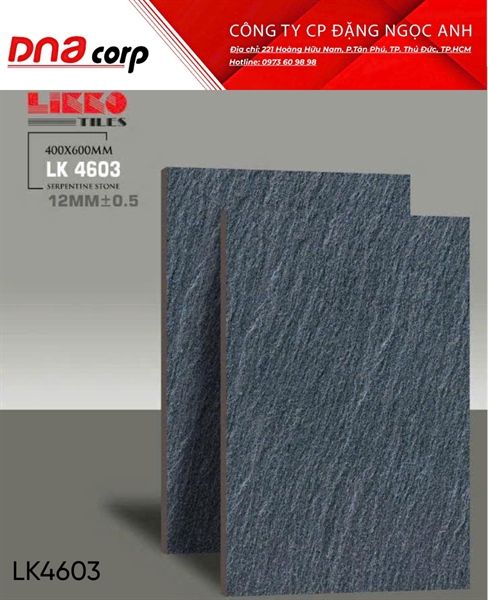 Gạch lát nền Đá LK4603 Mikado 40*60 (T5v/1.2m)