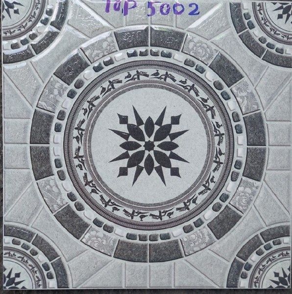 50*50 5002 Gạch sân vườn (1m/4v/th)